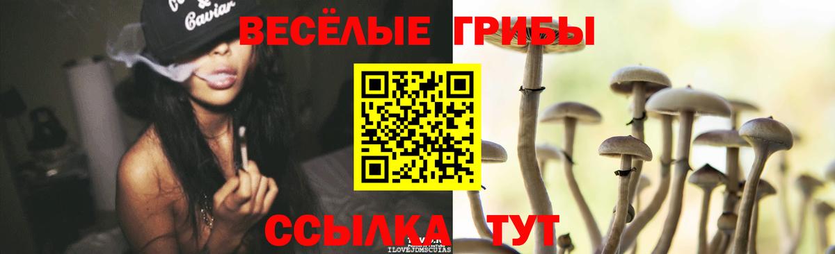 Ейск  Псилоцибиновые грибы GOLDEN TEACHER  Вход с VPN 